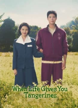 Khi Cuộc Đời Cho Bạn Quả Quýt - When Life Gives You Tangerines